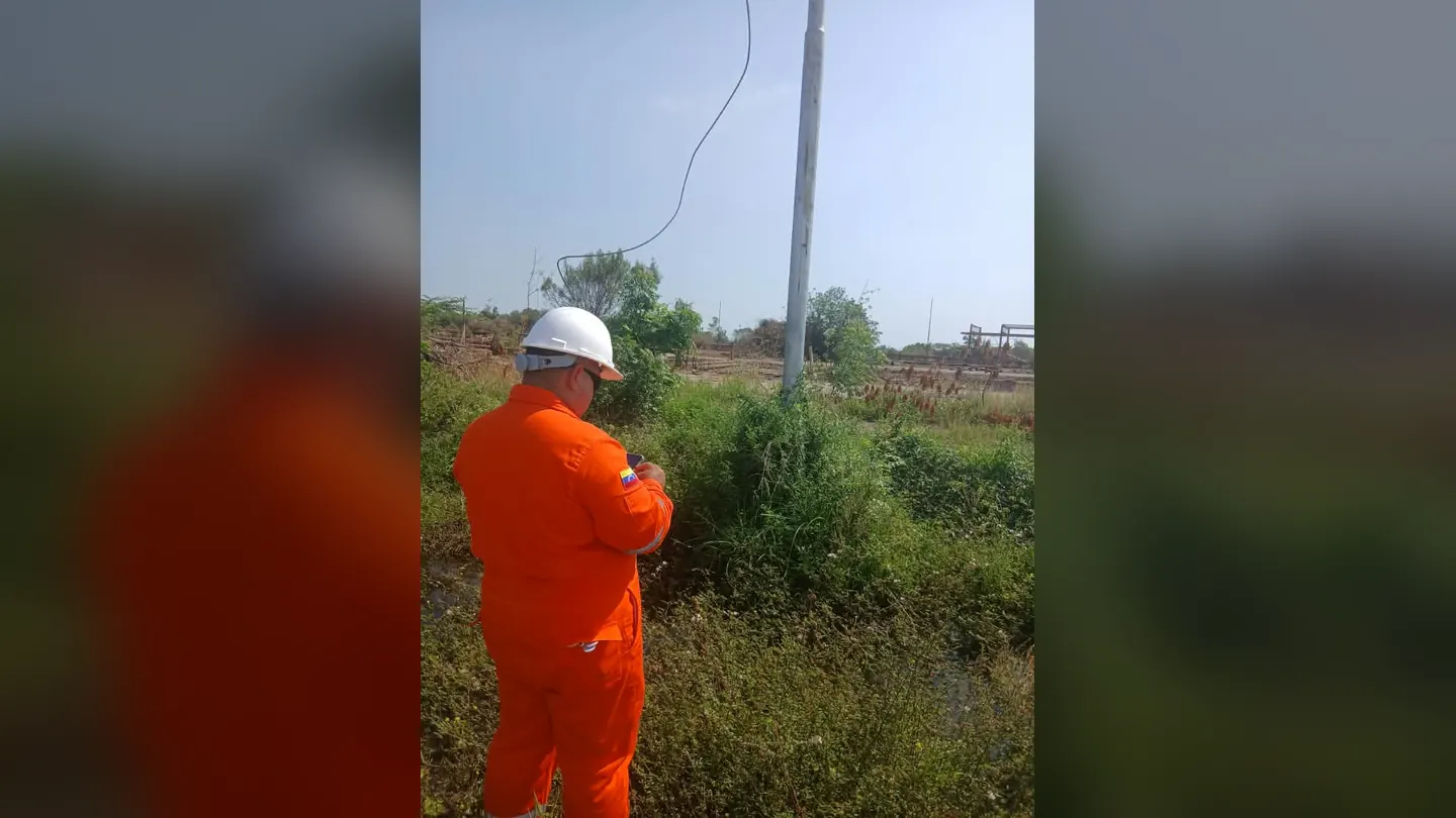 Technician inspecting a power line in the field