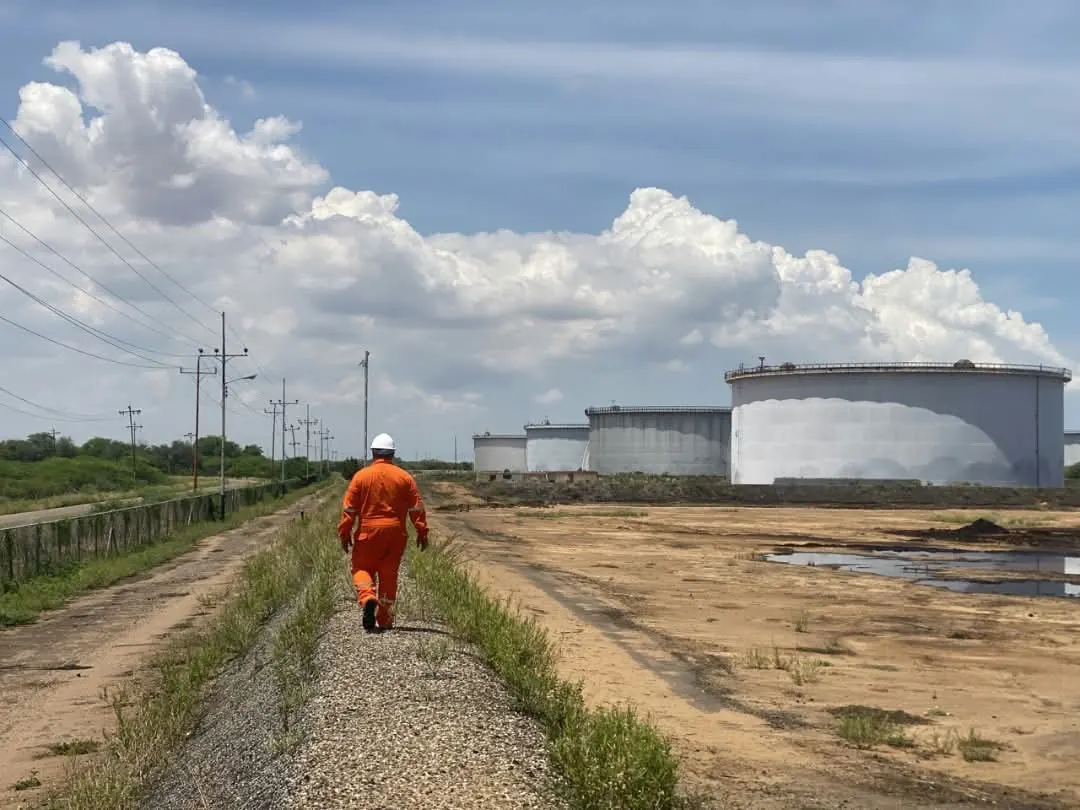 Técnico recorriendo el trazado de una línea eléctrica
