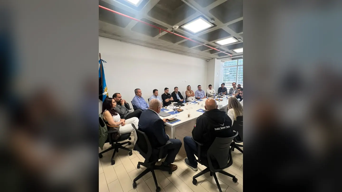Work meeting in a conference room